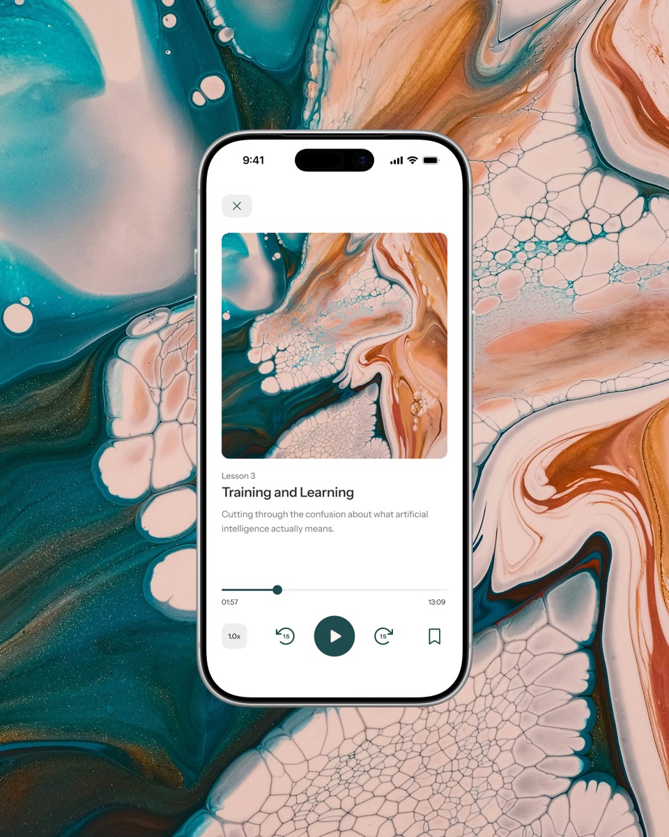 The Framework app lesson player