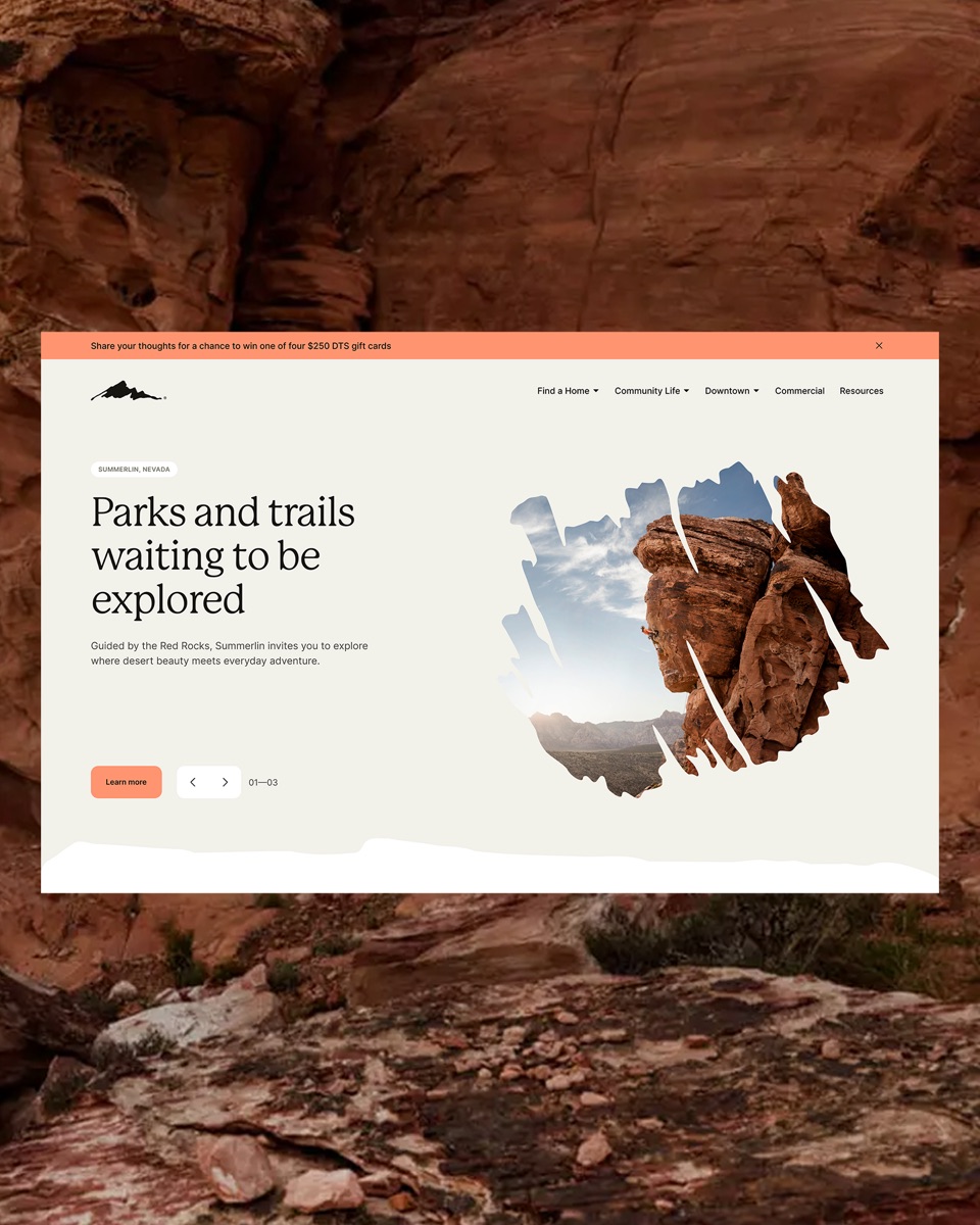 Summerlin website concept