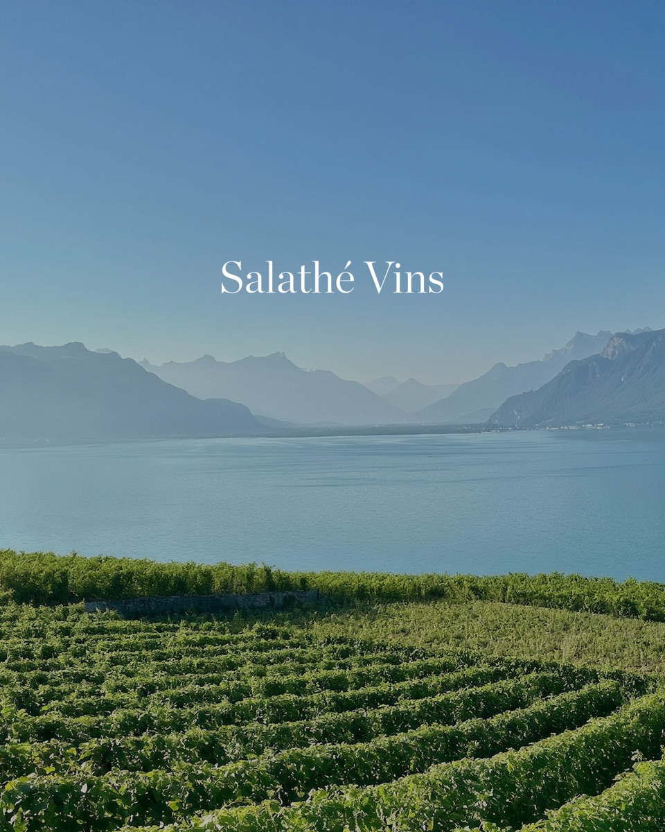 Salathé Vins wordmark over vineyards on Lake Geneva